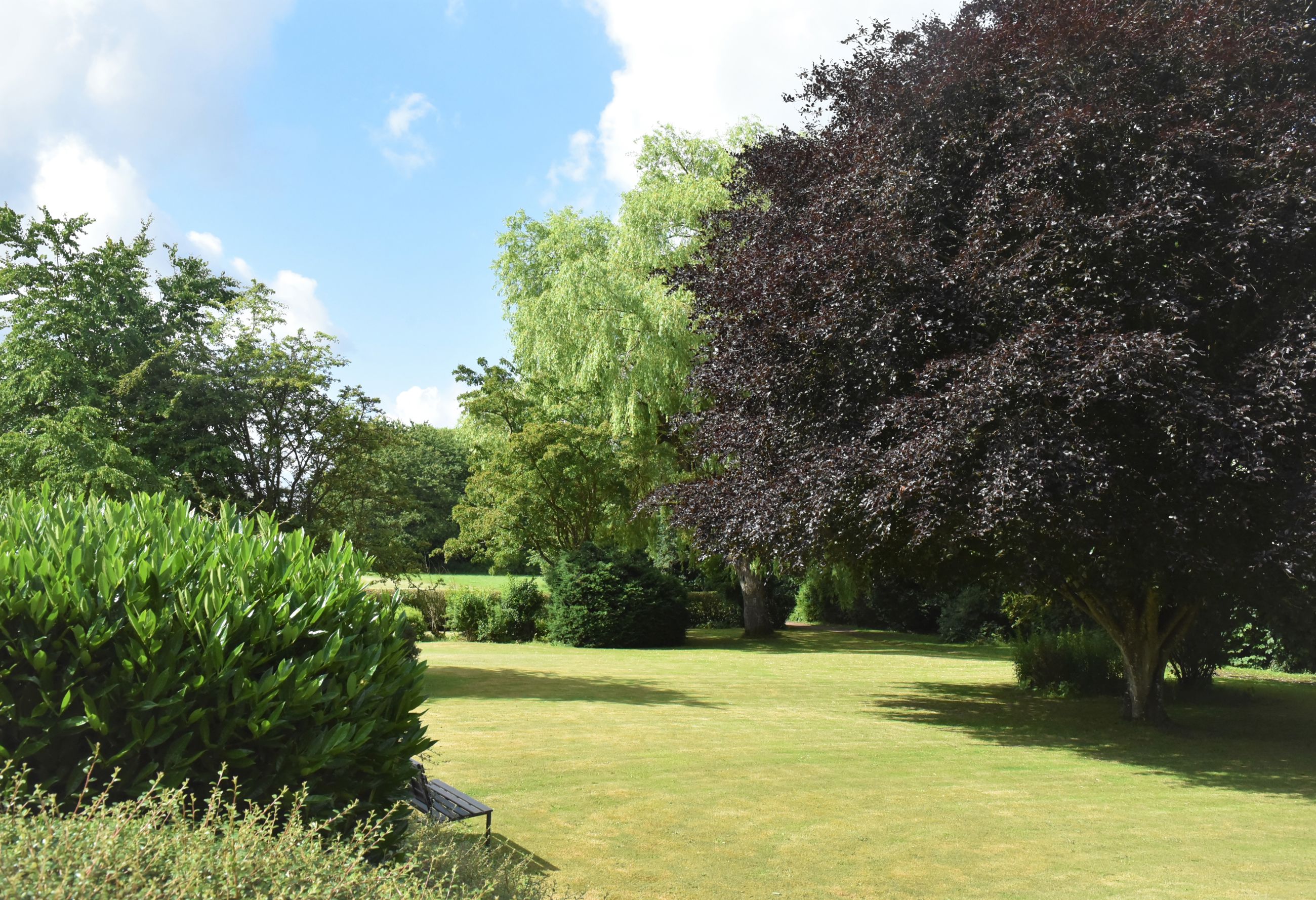 Have med græsplæne, træer og bænk hos Spentrup Ældrecenter