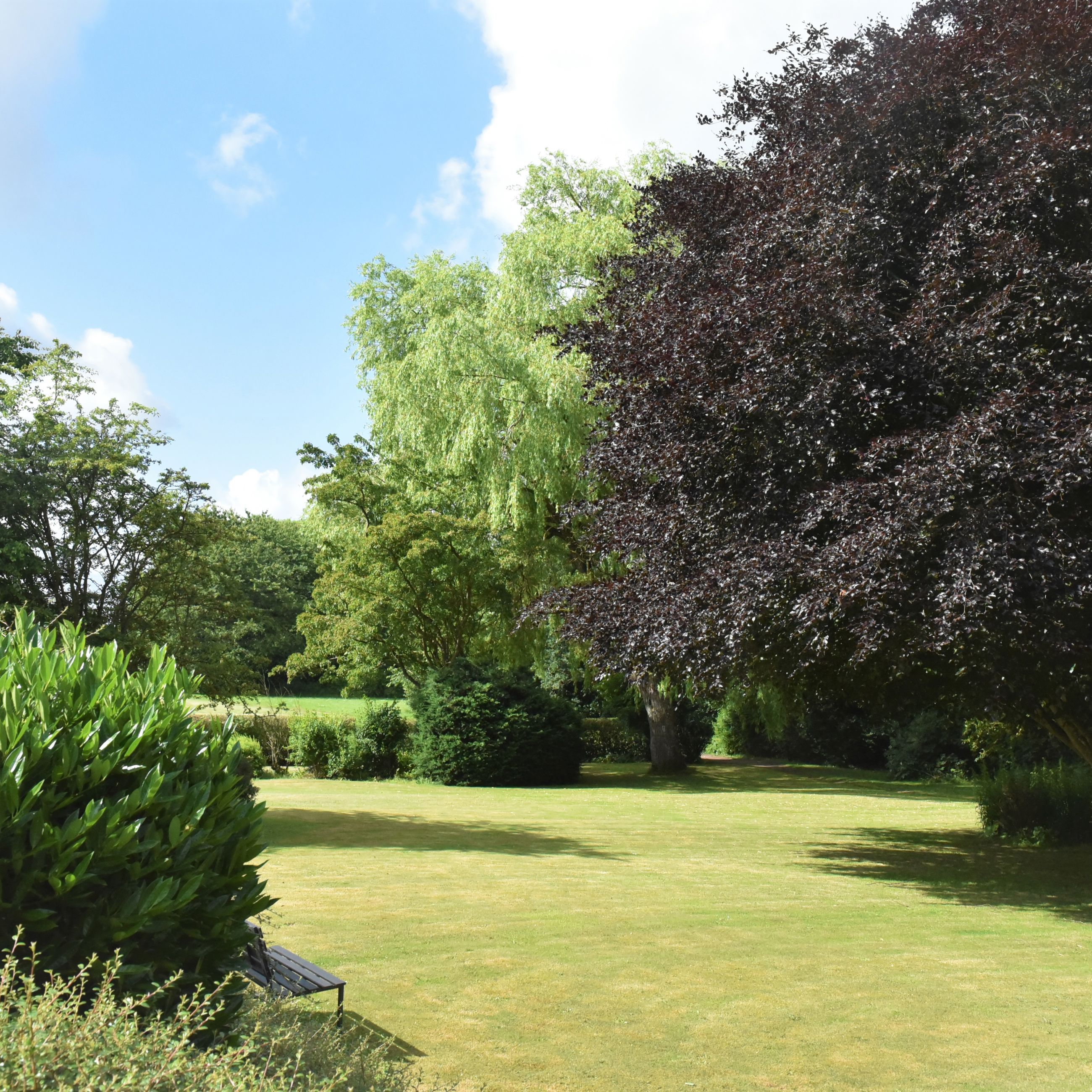 Have med græsplæne, træer og bænk hos Spentrup Ældrecenter