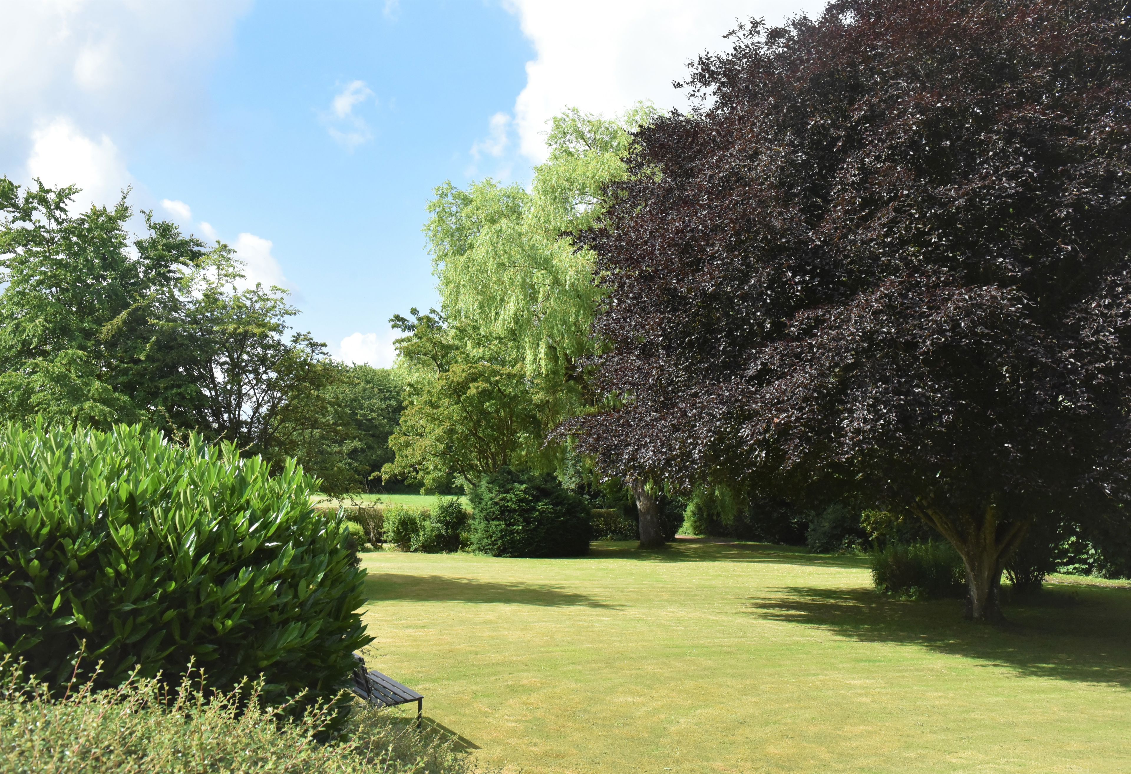 Have med græsplæne, træer og bænk hos Spentrup Ældrecenter