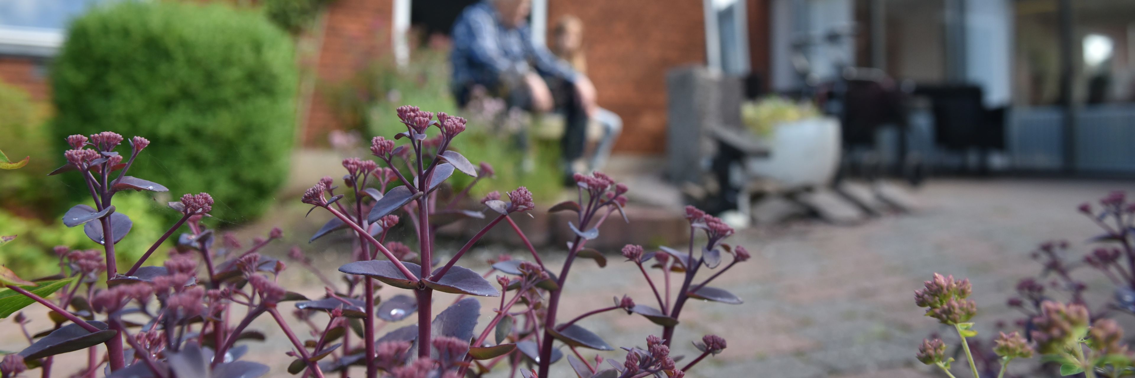 Udeområde på Spentrup Ældrecenter