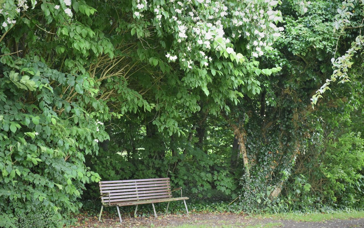 Bænk i haven på Spentrup Ældrecenter