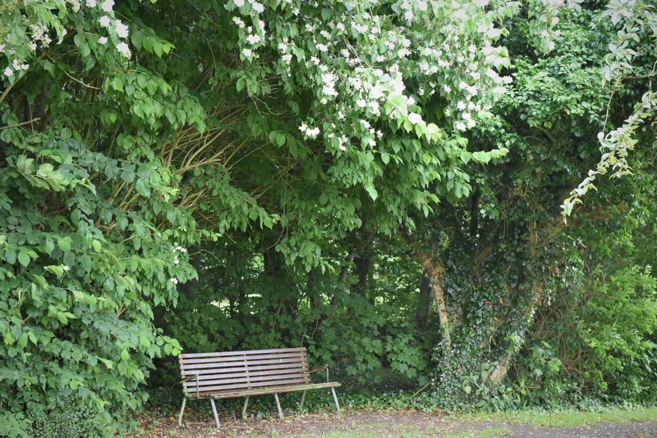 Bænk i haven på Spentrup Ældrecenter