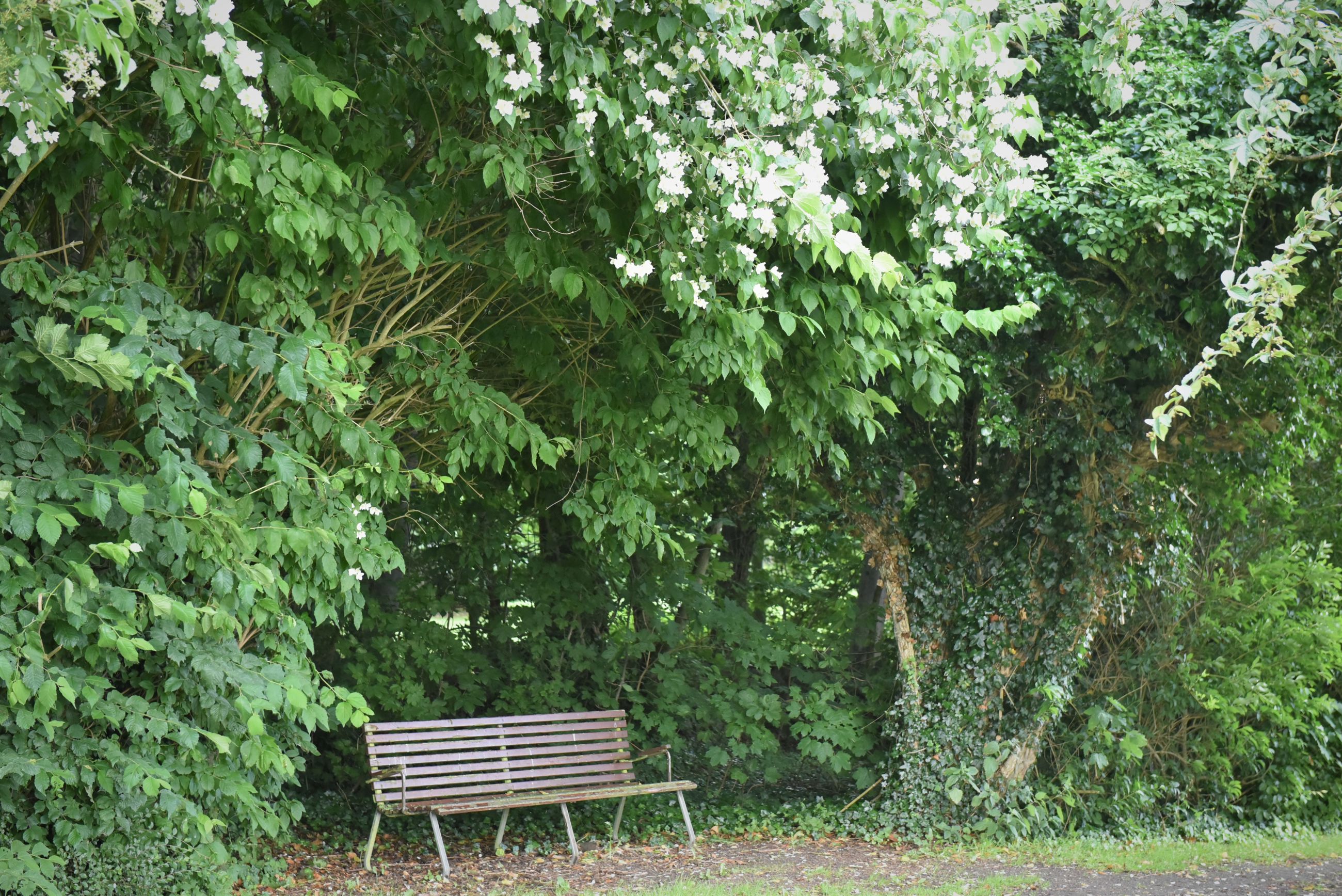 Bænk i haven på Spentrup Ældrecenter