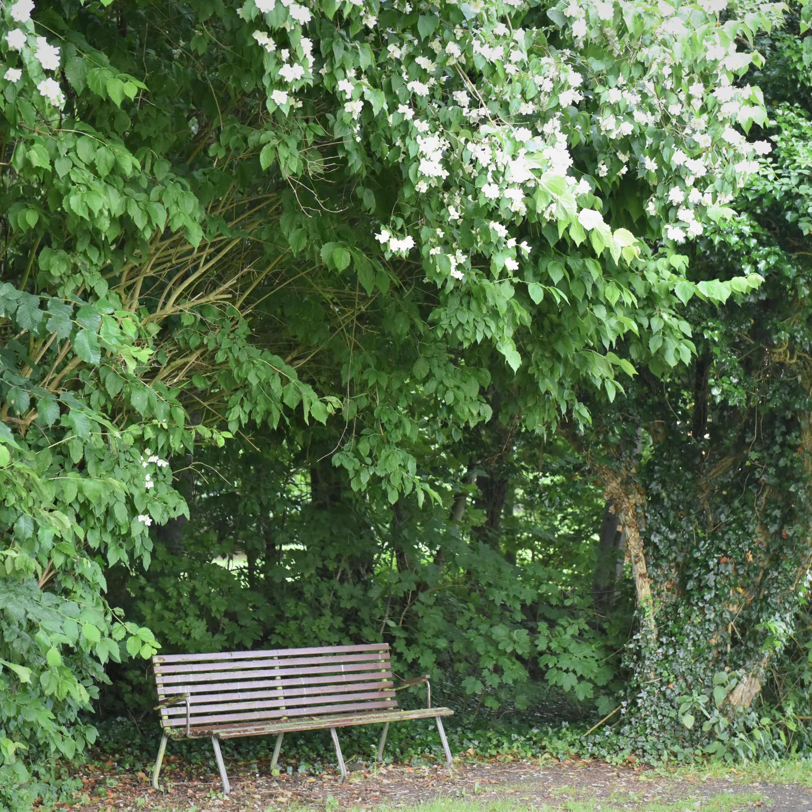 Bænk i haven på Spentrup Ældrecenter