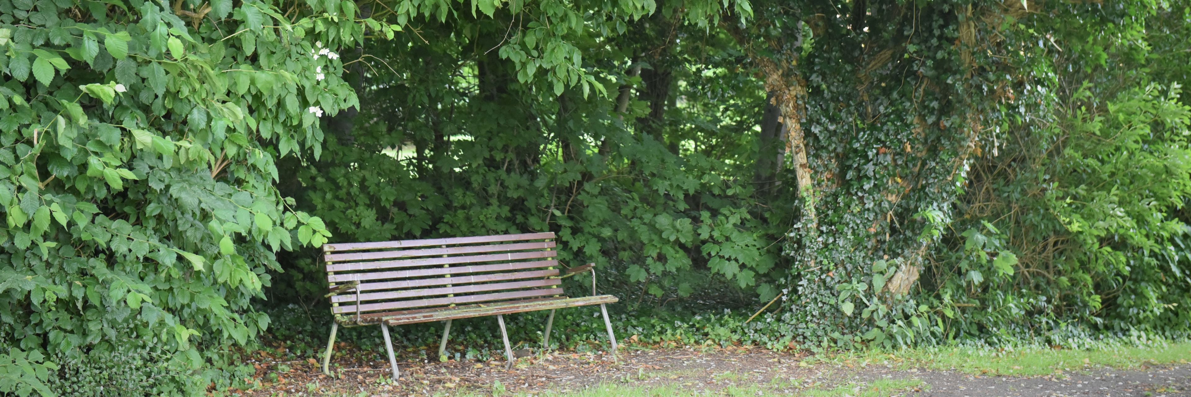 Bænk i haven på Spentrup Ældrecenter